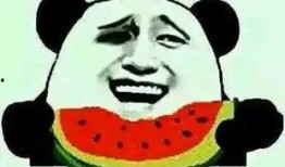 吃瓜有理报料无罪,揭秘网络舆论背后的真相